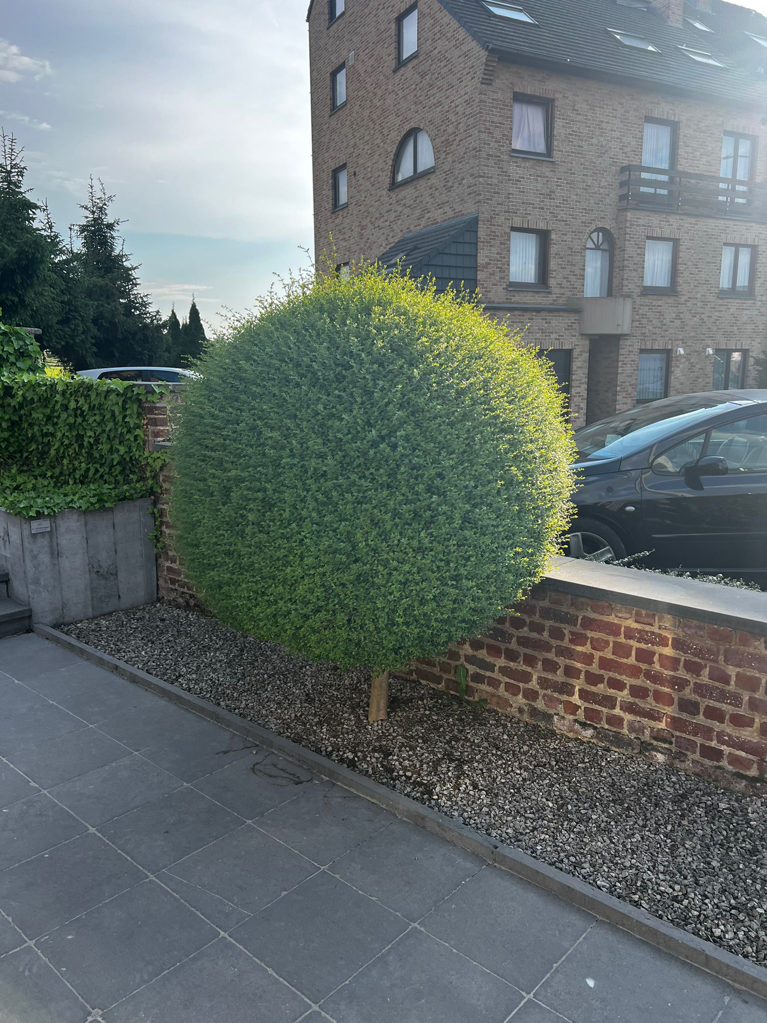 WhatsApp Image 2025-05-17 at 17.05.27