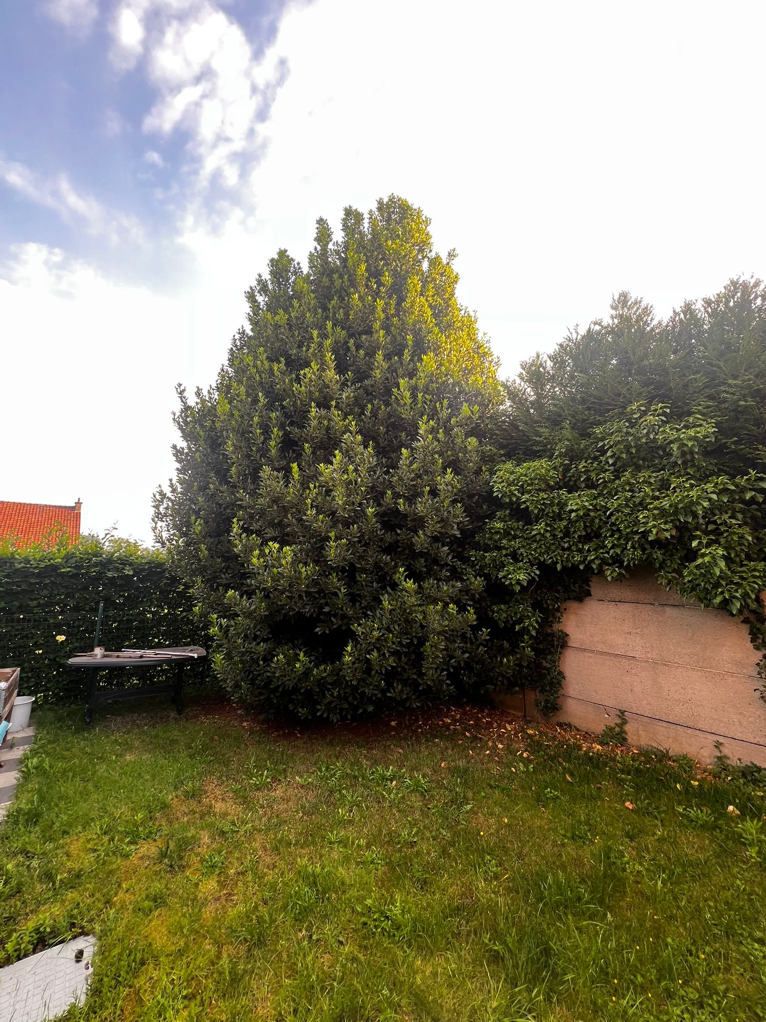 WhatsApp Image 2025-05-31 at 10.45.50