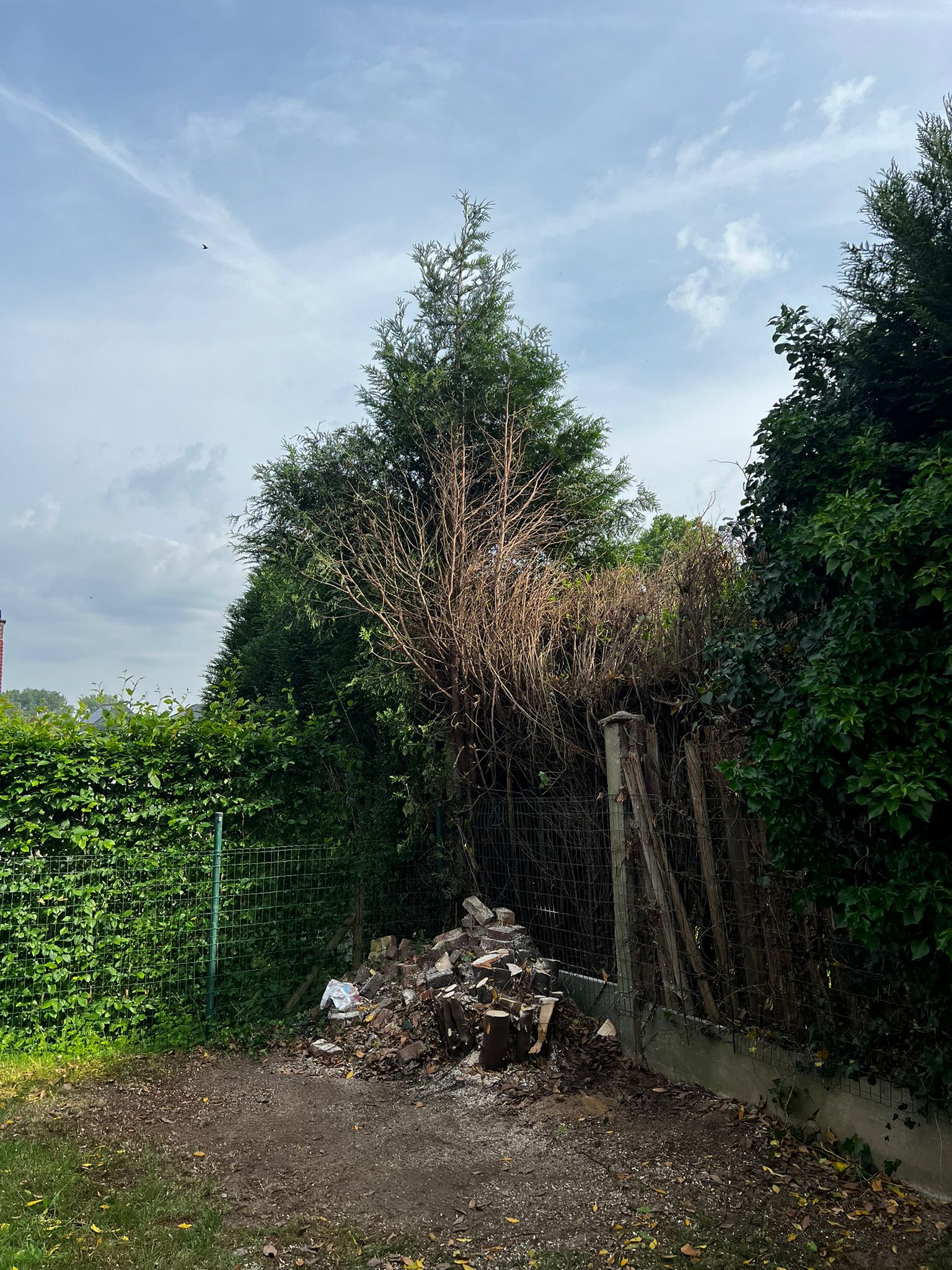 WhatsApp Image 2025-05-31 at 10.45.52 (1)